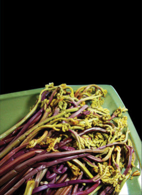 New updates on 4 Cha contributors: Patrick Donnelly, Leanne Dunic, Aryanil Mukherjee and Greg Santos