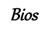 Bios.png
