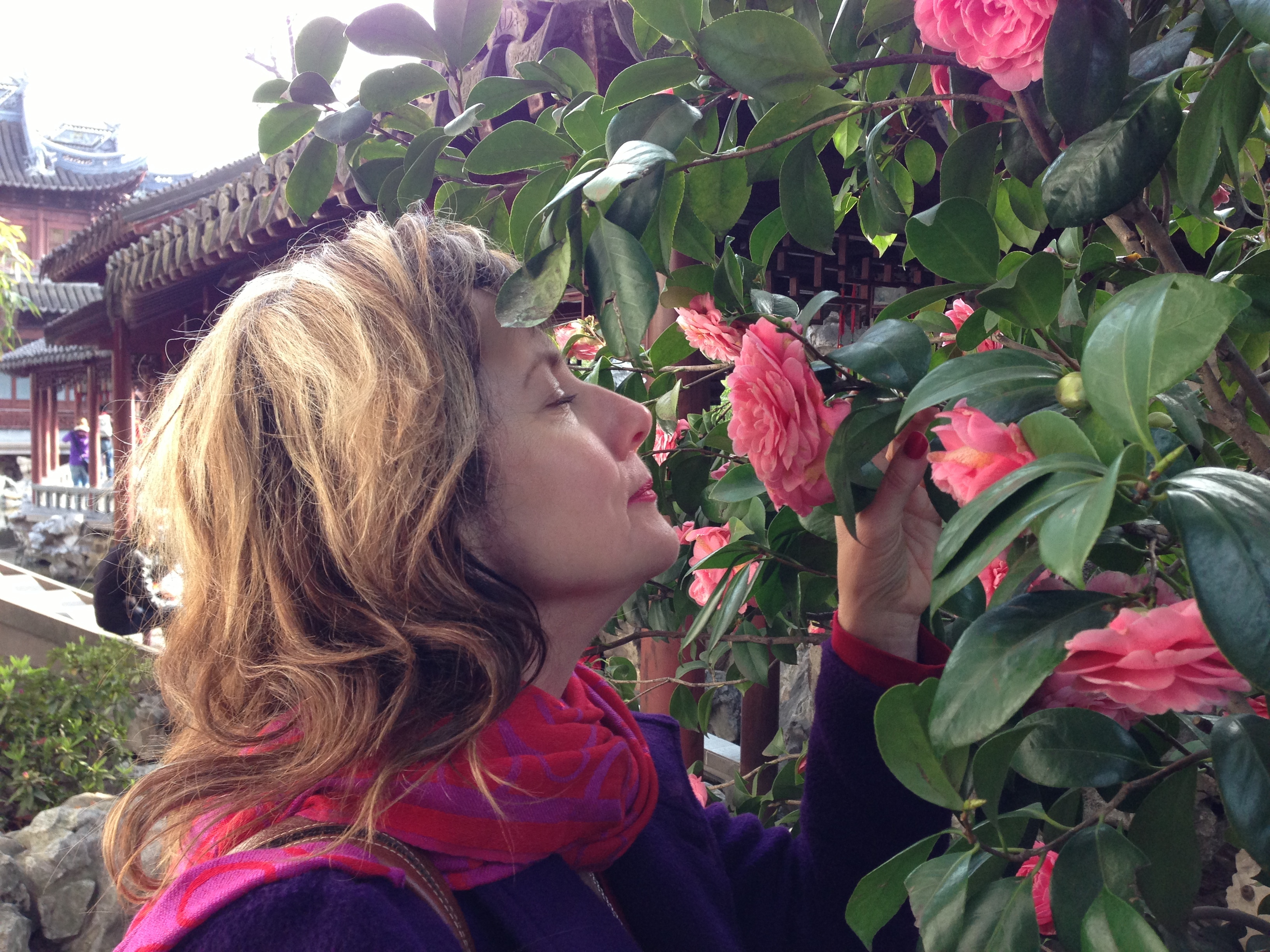 Kate Shanghai 2014.jpg