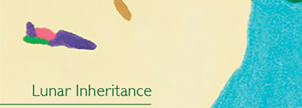 [REVIEW] “Shifting Terrains: Movement and Identity in Lachlan Brown’s 𝐿𝑢𝑛𝑎𝑟 𝐼𝑛ℎ𝑒𝑟𝑖𝑡𝑎𝑛𝑐𝑒” by Maja&nbsp;Milatovic