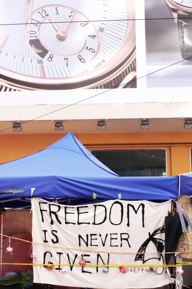 Freedom is Not Given.jpg