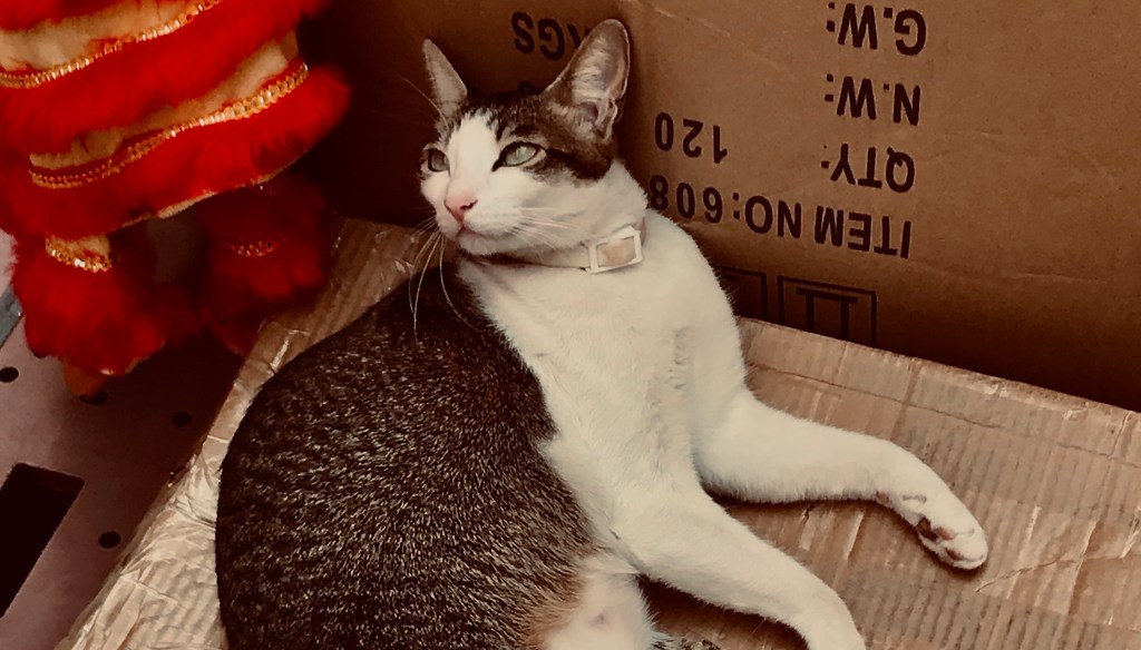 [EXCLUSIVE] “Beckoning Her Children” (Thursday 6 August 2020) by Chris Song, translated by Tammy Lai-Ming&nbsp;Ho