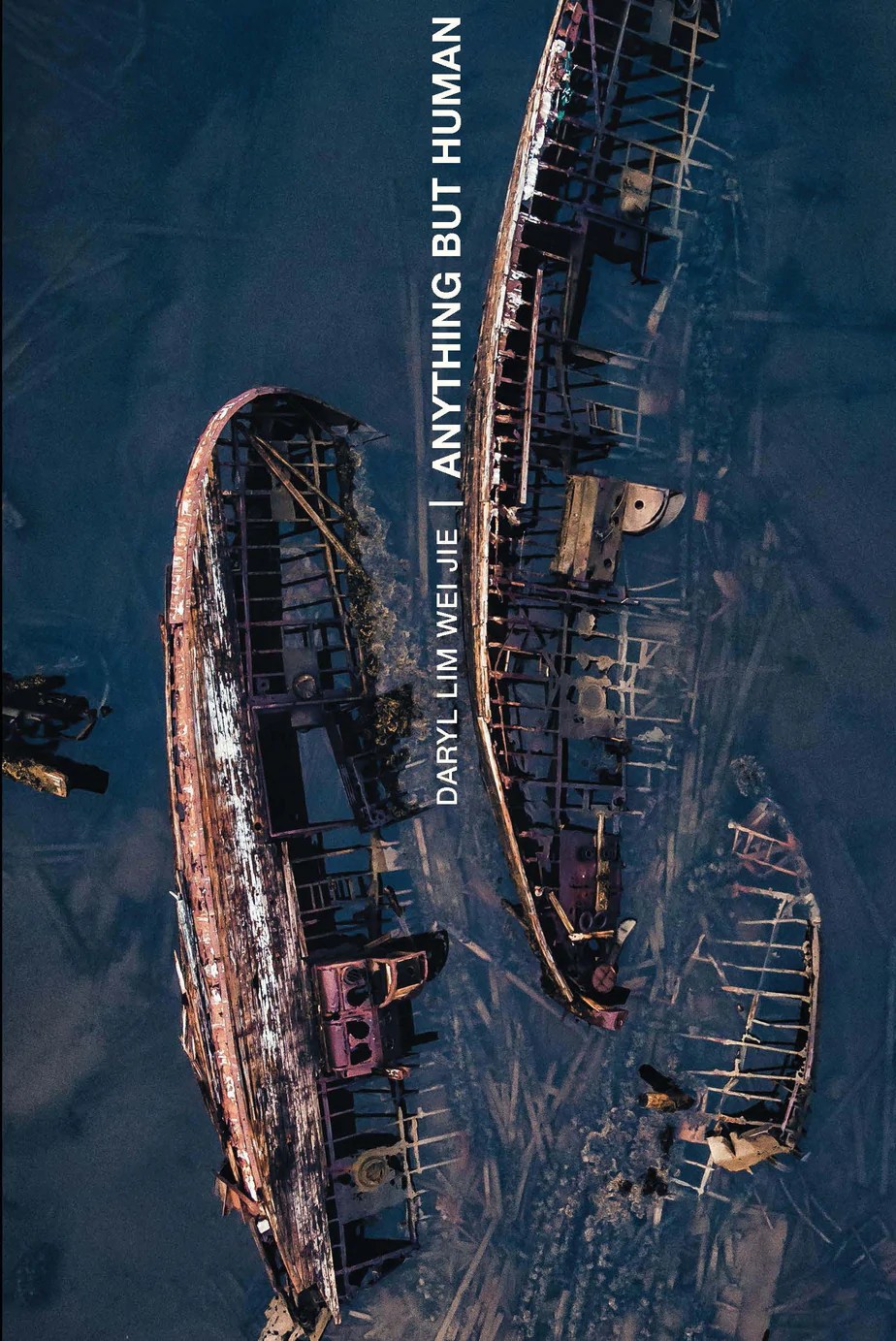 AnythingButHuman_frontCover_924x1383