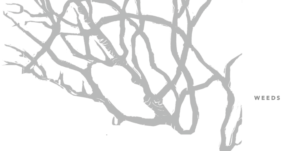 [FEATURE] Lu Xun’s 𝑊𝑒𝑒𝑑𝑠:&nbsp;Preface