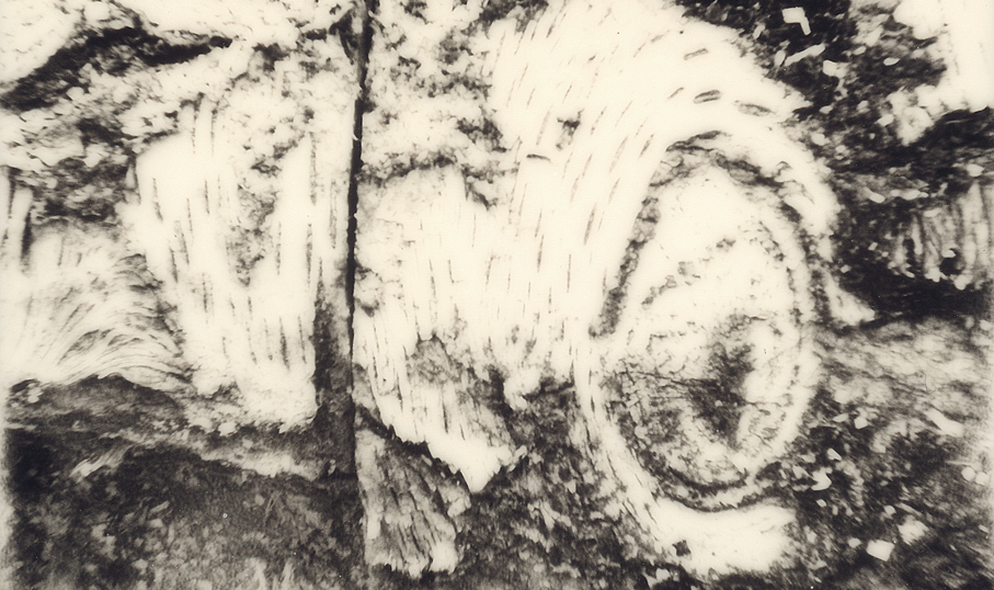 [EXCLUSIVE] “Just the Next Day” by Lydia&nbsp;Kwa