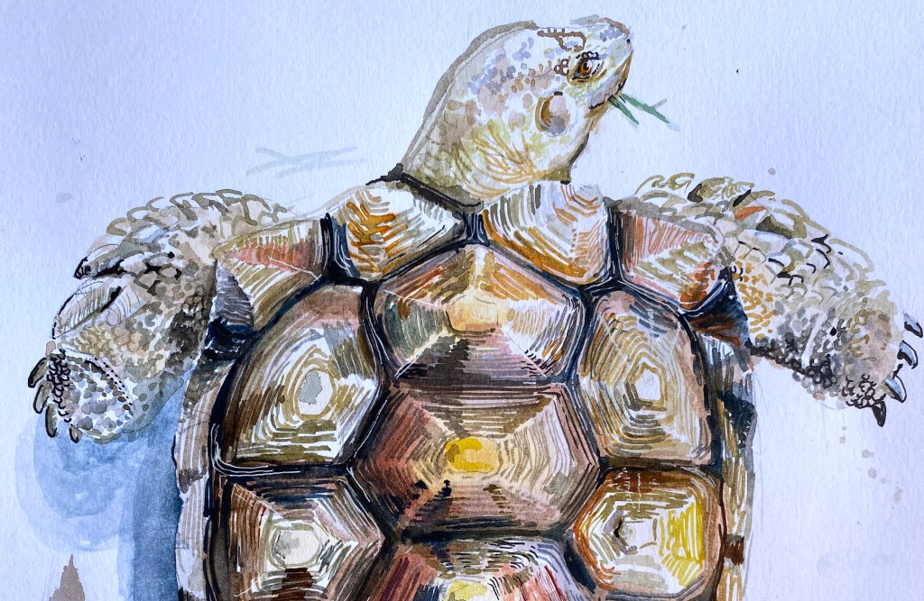 [EXCLUSIVE] “Orange and Buji” BY JASMINE&nbsp;TONG