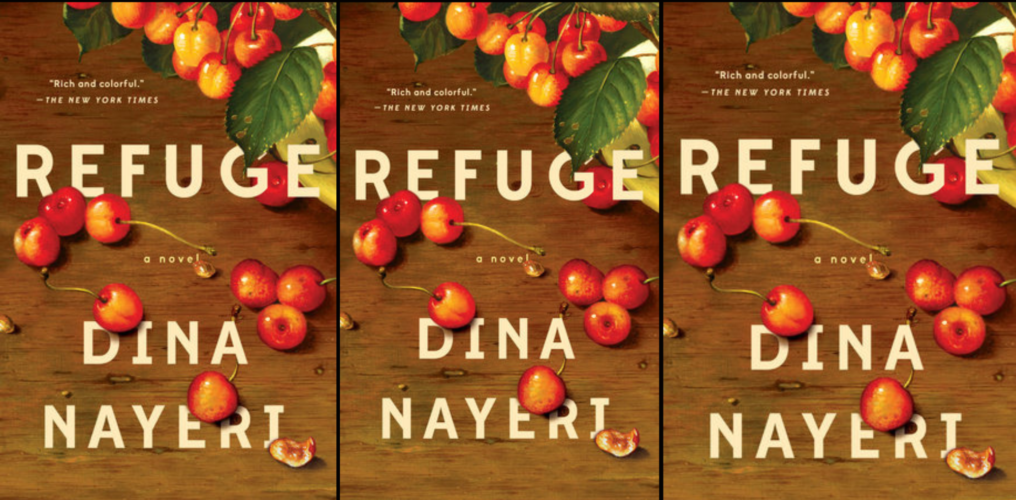 [FIRST IMPRESSIONS] “In Perpetual Transit: Dina Nayeri’s 𝑅𝑒𝑓𝑢𝑔𝑒” by Fathima M