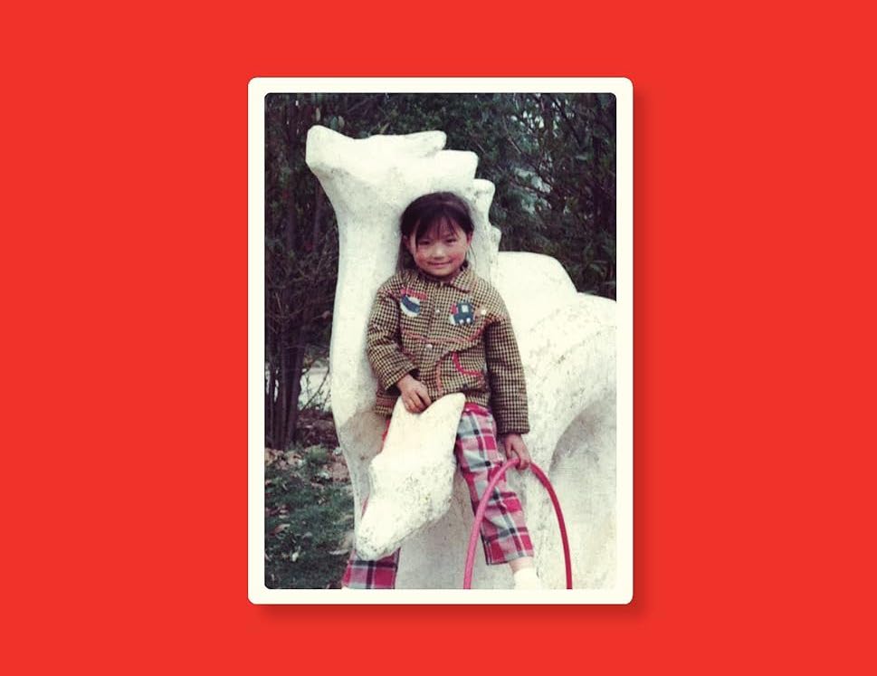 [REVIEW] “Not Just A Memoir: Shen Yang’s  𝑀𝑜𝑟𝑒 𝑇ℎ𝑎𝑛 𝑂𝑛𝑒 𝐶ℎ𝑖𝑙𝑑” by Lorenzo&nbsp;Donelli