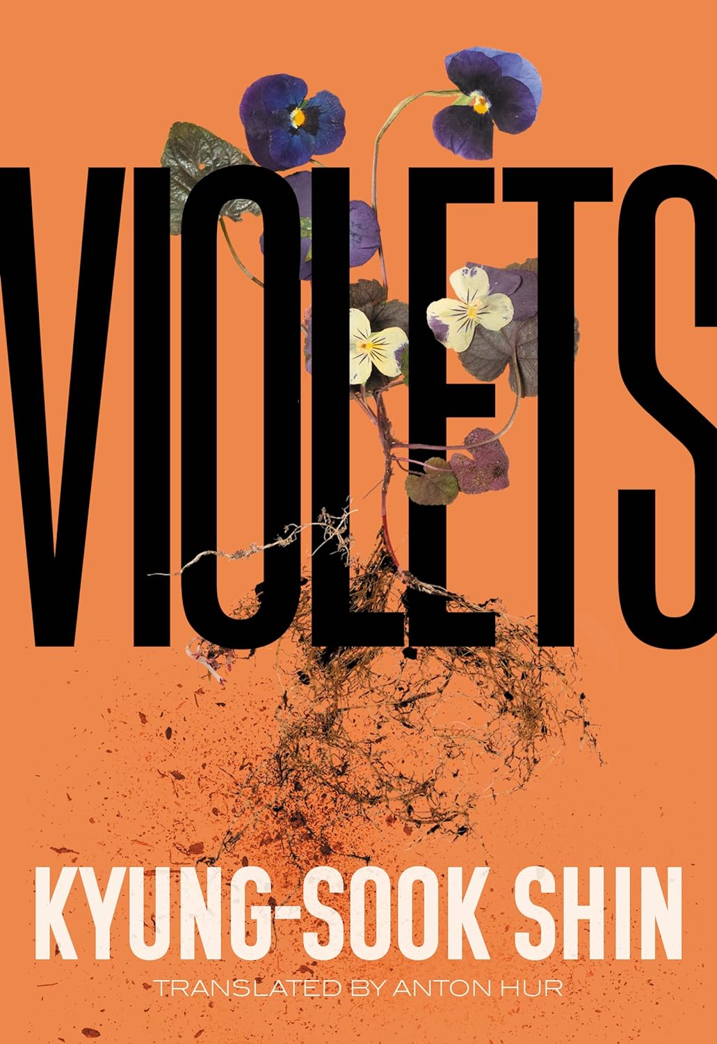 [REVIEW] “On Behalf of Those Who Weren’t Able to Survive: Kyung-Sook Shin’s 𝑉𝑖𝑜𝑙𝑒𝑡𝑠” by Beth Adams