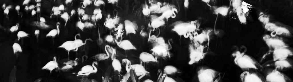 [EXCLUSIVE] “A Slower Mode of Time” by Chris&nbsp;Sullivan