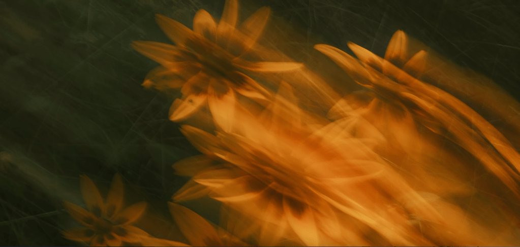 [EXCLUSIVE] “Broken English, Sweet Oranges” by Cuiyu&nbsp;Lin