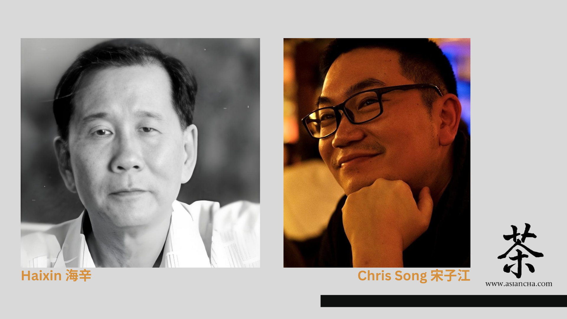 [TRANSLATION] “Spirits of Cicadas” by Haixin, translated by Chris Song