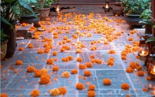 [REVIEW] “This is How Places Heave: Memory and Longing in Bhaswati Ghosh’s 𝑁𝑜𝑠𝑡𝑎𝑙𝑔𝑖𝑐 𝑓𝑜𝑟 𝑎 𝑃𝑙𝑎𝑐𝑒 𝑁𝑒𝑣𝑒𝑟 𝑆𝑒𝑒𝑛” by Sayan&nbsp;Aich