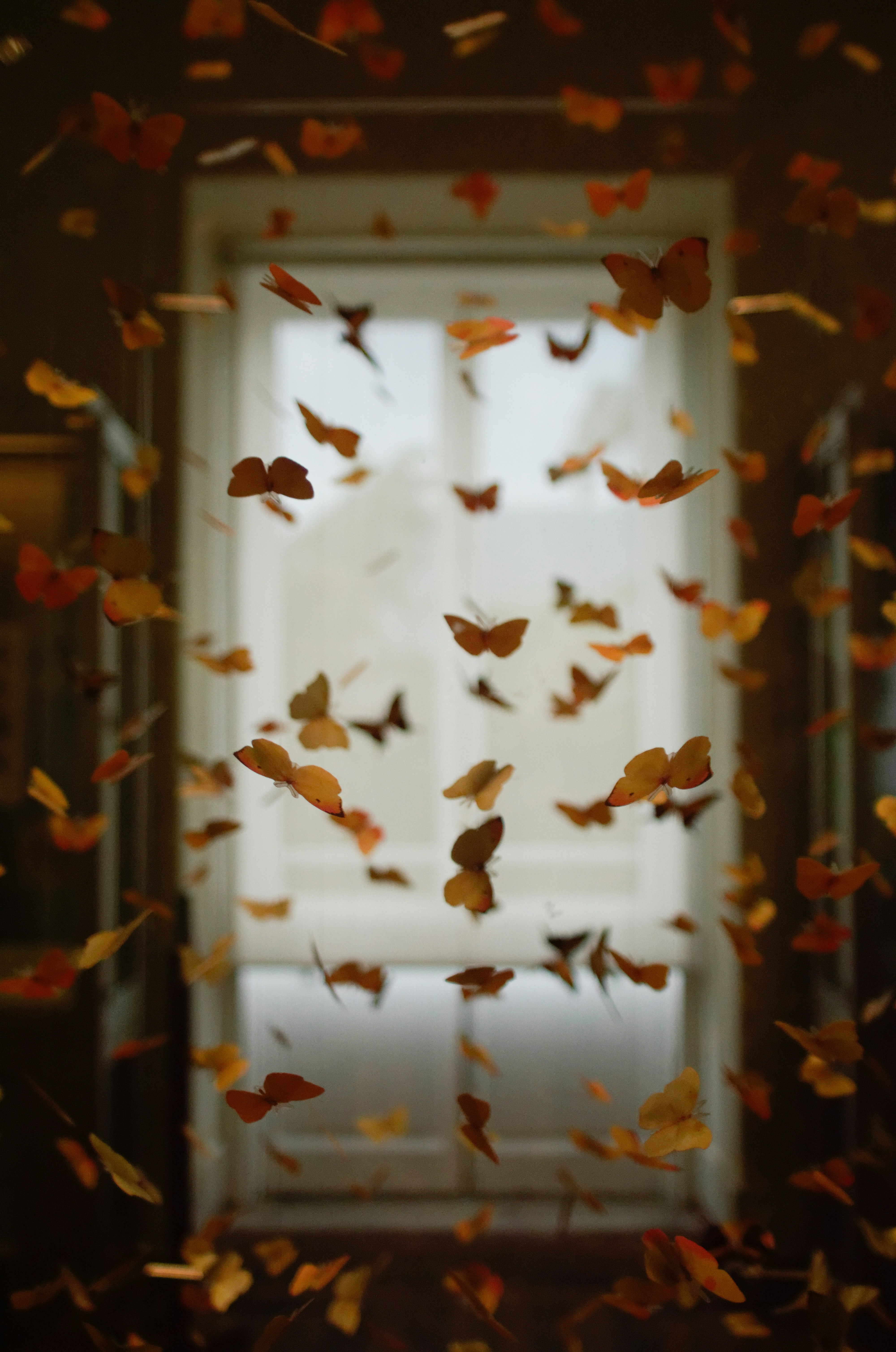 [ESSAY] “Butterflies, Stones, and Blades” by Pál Dániel Levente