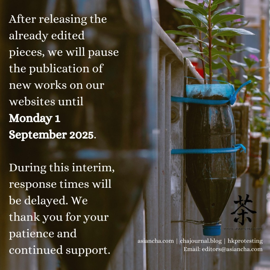 {𝗔𝗡𝗡𝗢𝗨𝗡𝗖𝗘𝗠𝗘𝗡𝗧} Summer Break—slower publication&nbsp;schedule