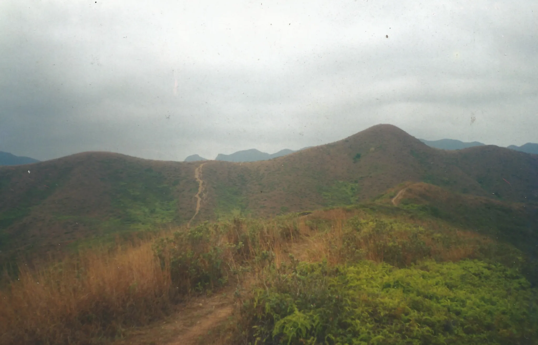 [INCIDENTAL] “Meetings with Hong Kong Buddhist Nuns” by Simon Patton